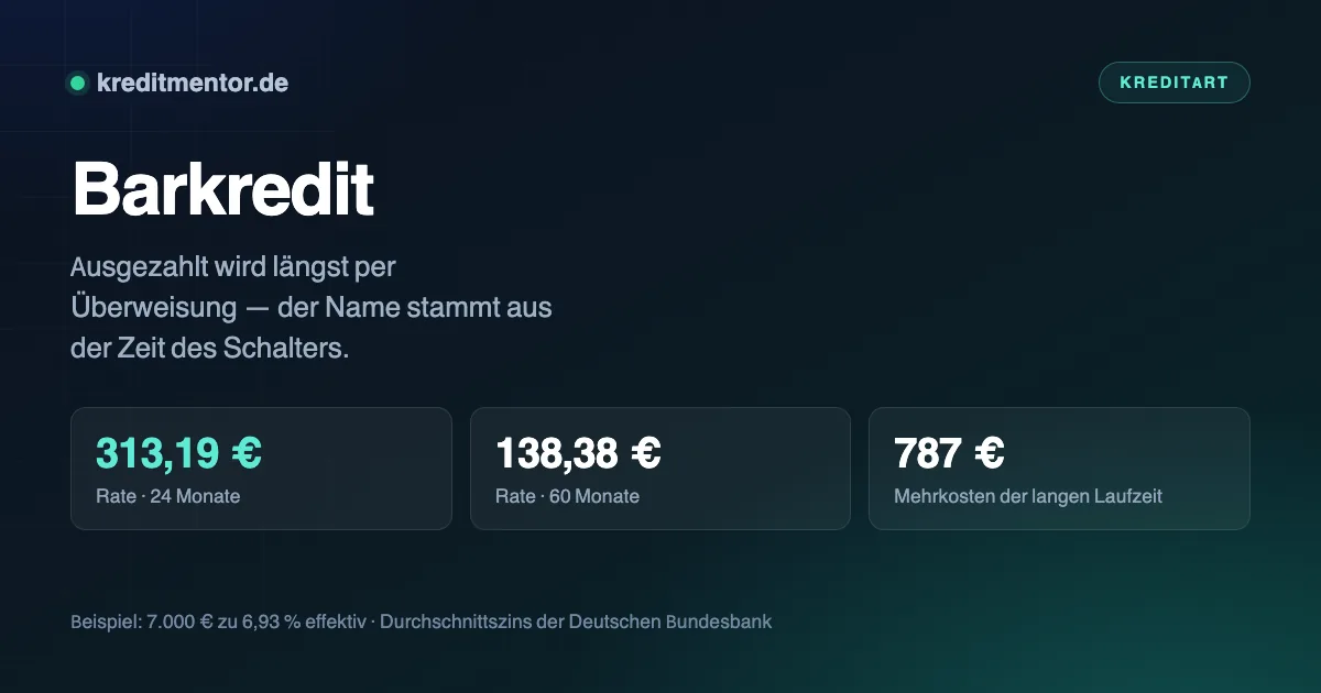 Infografik: Barkredit — 313,19 € Rate · 24 Monate, 138,38 € Rate · 60 Monate, 787 € Mehrkosten der langen Laufzeit.